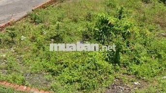 Bán Đất Chính chủ,kẹt tiền cần bán rẻ nhất khu vực, sinh lời rất cao