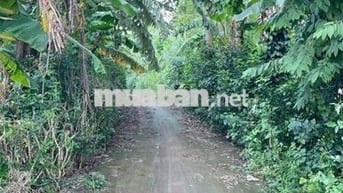 🌿 BÁN ĐẤT XÃ XUÂN TÂY – HUYỆN CẨM MỸ – ĐỒNG NAI 🌿  📍 Vị trí: Xã Xuân T