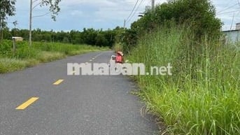 Chính chủ cần bán đất ấp Nhân Trung, 556m giá 2 tỷ 9, có thương lượng