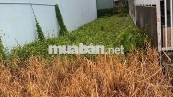 Ngay đường Trương Văn bang, Cần Đước, Long An, 100m2, đất thổ cư