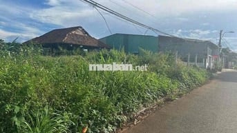 🌿 BÁN ĐẤT ĐẸP GẦN ECOCITY – ĐƯỜNG DÃ TƯỢNG (QH 24M) 🌿
