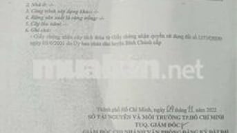 Chính Chủ Cần Bán Đất Ruộng Tân Nhựt Khu Kiến Vàng