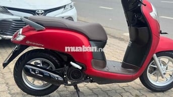 Scoopy