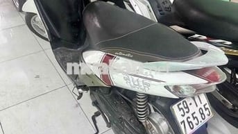 Mio Thái 2008 Bstp Zin Êm