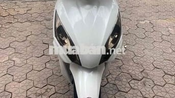 xe Vision trắng