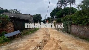 Bán Gấp Lô Góc 50m² Mặt Tiền 5m Tại  Phường Tùng Thiện, Thị Xã Sơn Tây