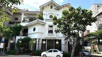Cho Thuê Nhà Đường Lê Thúc Hoạch, Tân Phú ( 16x10m - Góc Đẹp )