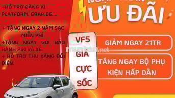 VinFast VF5 2025