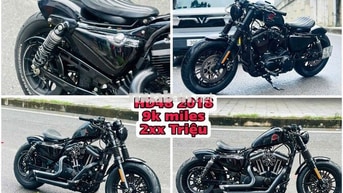 Harley Davidson motorcycle custom