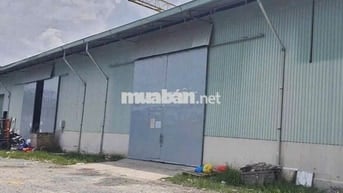 Kho đẹp ở Đường Gò Ô Môi cần cho thuê diện tích 200m2 trần thoáng