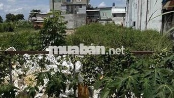 💥 MẶT TIỀN THẠNH XUÂN 31 – ĐƯỜNG 30M – NGANG 13M – CHỈ 33TR/m² 💥