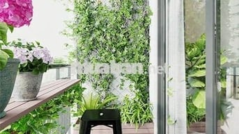 Tổng hợp các căn cho thuê tại Pegasuite - Vị trí đẹp nhà đẹp - Full NT