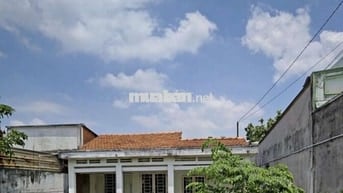 Nhà Cấp 4 Diện Tích 9.5x40.  Mặt Tiền Nhựa Kinh Doanh Đỉnh - Bán Gấp