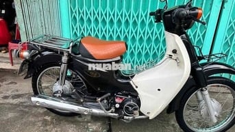 cub 50 cc bstp