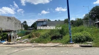 Ra gấp lô đất 6x16m full thổ – Bến Cát trung tâm – chỉ 1 tỷ 5xx!