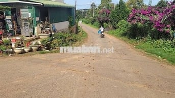 2000m2 giá rẻ ngang 36x55 ngay chợ,quốc lộ 20,sát TP Bảo lộc