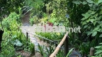 Chị em cần bán gấp lô đất vườn view hồ trị an giá rẻ 733tr tại ĐQ
