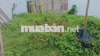 Đất sổ chung, 100m2 , đường Nguyễn Văn tiên, tân phong đồng nai