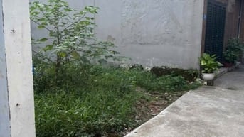Mảnh đất đẹp ở phố Đông Thiên, Vĩnh Hưng (SĐCC)
