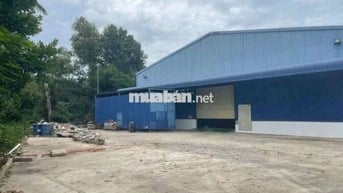 Kho xưởng tiêu chuẩn 6000m, giá 240 triệu, pccc đầy đủ