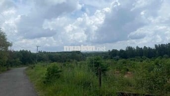 🌟 BÁN ĐẤT PHƯỚC BÌNH – LONG THÀNH, ĐỒNG NAI 🌟  📍 Vị trí: Xã Phước Bình