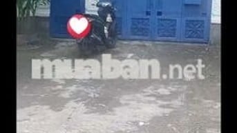 CẦN BÁN BIỆT THỰ  ĐI NƯỚC NGOÀI
