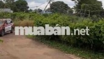 Chuyển nhượng cơ hội sinh lời với đất 2 mặt tiền xã Bàu Cạn Long Thành