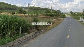 BÁN ĐẤT ' BỎ PHỐ VỀ RƯNG'  DIỆN TÍCH 1HEC8. -HẺM XE ĐỔ BÊ TÔNG ĐI VÀO