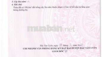 Đất Mặt Tiền Đường ĐT 746, Gần Trung Tâm Phường Tân Uyên 12x28, 200TC