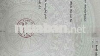 Tôi chính chủ bán 1200m2 đất Bàu Bàng, TP Hồ Chí Minh