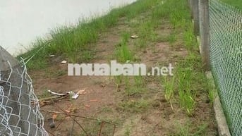 Bán đất xã Tân Trung - Gò Công 190m²/ 650tr, gần UBND Sơn Quy (mới).