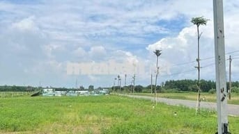 Cần Bán Gấp Lô Đất tại Long Tân - Bà Rịa Vũng Tàu- SHR
