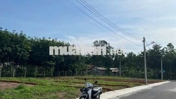 Sang nhượng đất Mt DH507, giá rẻ, công chứng ngay