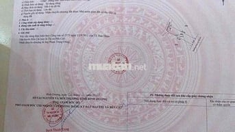1.33 tỏi hàng ngộp nặng khu alaska