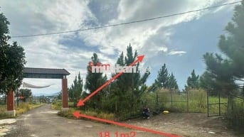 2 lô đất mặt tiền đường Tản Đà tại xã Đạm Bri, Bảo Lộc, Lâm Đồng