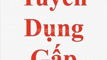 Chị cần người phụ dọn dẹp sắp xếp ( ưu tiên từ trung tuổi trở Lên ) 