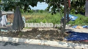 Đất nền 120m2/820tr. Ngay 826C, Phước Lại, Cần Giuộc. SHR, full thổ.