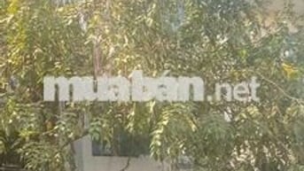 Bán nhà đường nhánh kinh doanh CHDV Cao Lỗ P4 Q8