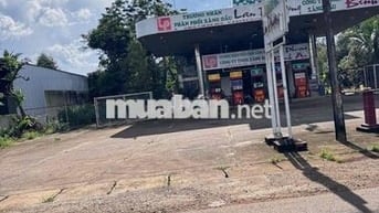 Bán gấp 140m2 thổ cư sổ riêng, đường Tín Nghĩa- Bình Lộc, Đồng Nai