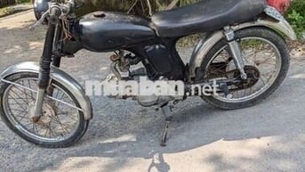 Honda 67
