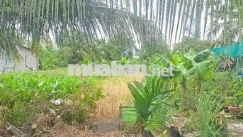 ĐẤT FULL THỔ CỰC HIẾM – THẠNH XUÂN 33 – 200m² – GIÁ CHỈ 7.3 TỶ
