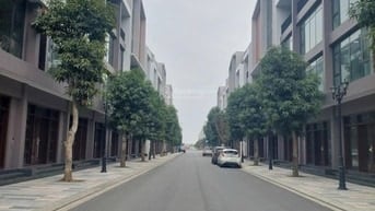 C.Chủ cần bán biệt thự, căn góc, PB 3,Vinhomes Ocean Park 3.120m.MT 8m