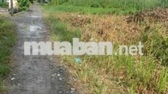 Bán Đất ĐỨC HOÀ SỔ HỒNG RIÊNG GIÁ TỐT 15x35