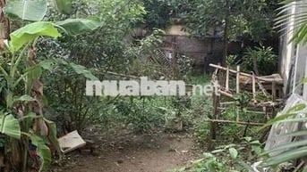 Đất Liên Mạc - 52m2 - ngõ ba gác - giá đầu tư