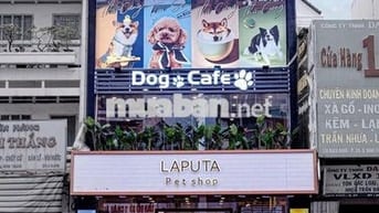Nhà Đẹp Mặt Tiền Bạch Đằng – Trung Tâm Thương Mại Sôi Động Bình Thạnh