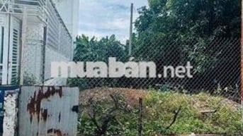 Lô Đất Sát Đường Võ Thị Sáu Đông Hoà, Cách BigC Go 500m