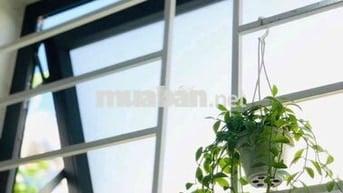 cho thuê nhà nguyên căn phường Hiệp Thành