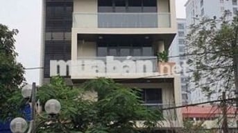 🏡 Cho Thuê Nhà HXH Trường Chinh_8x20m, Hầm Trệt  4 Lầu, Thang Máy