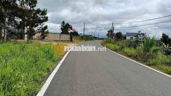 Bán Lô Đất Mặt Tiền Tôn Đản P2 (Dambri cũ) Bảo Lộc ngay Lý Thái Tổ