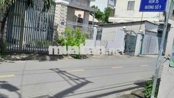 cho thuê nhà nguyên căn chính chủ đường số 9
